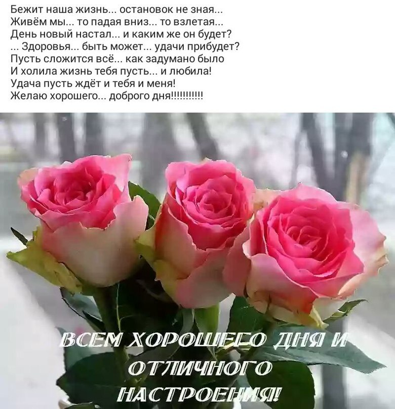  - 16  2019  14:24