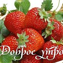 ���� �����, ����, 55 ��� - ��������� 24 ���� 2018 � ������ ���� ����������