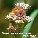 ���� �����, �����, 70 ��� - ��������� 17 ����� 2019 � ������ ���� ����������