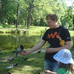 �����, �����-���������, 50 ���