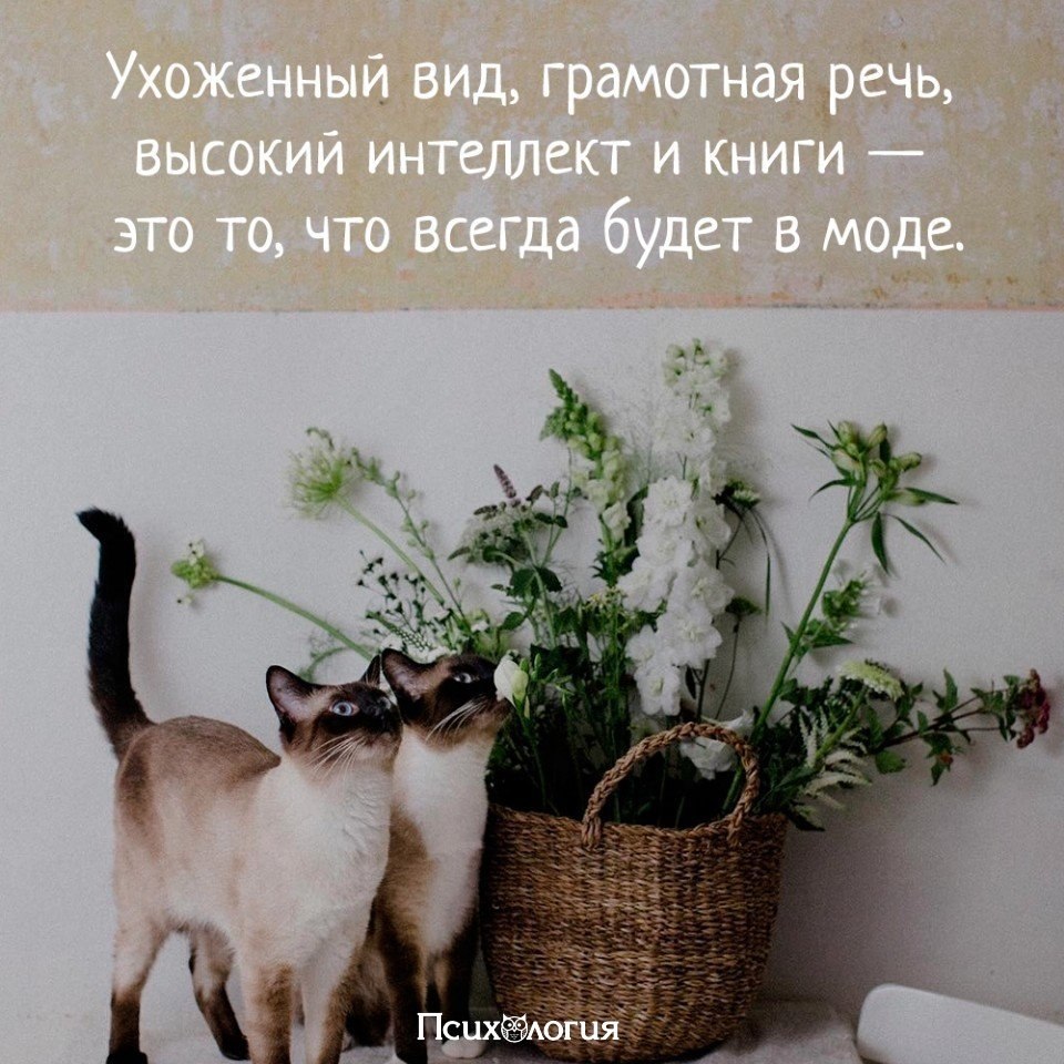  - 8  2018  16:51