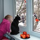 ���� ����, ����������, 68 ��� - ��������� 5 ������� 2019 � ������ ������ ��������