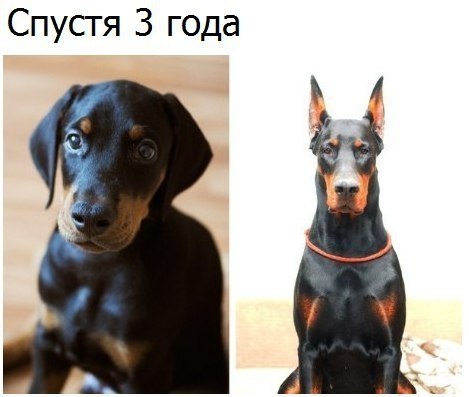  - 19  2019  16:37