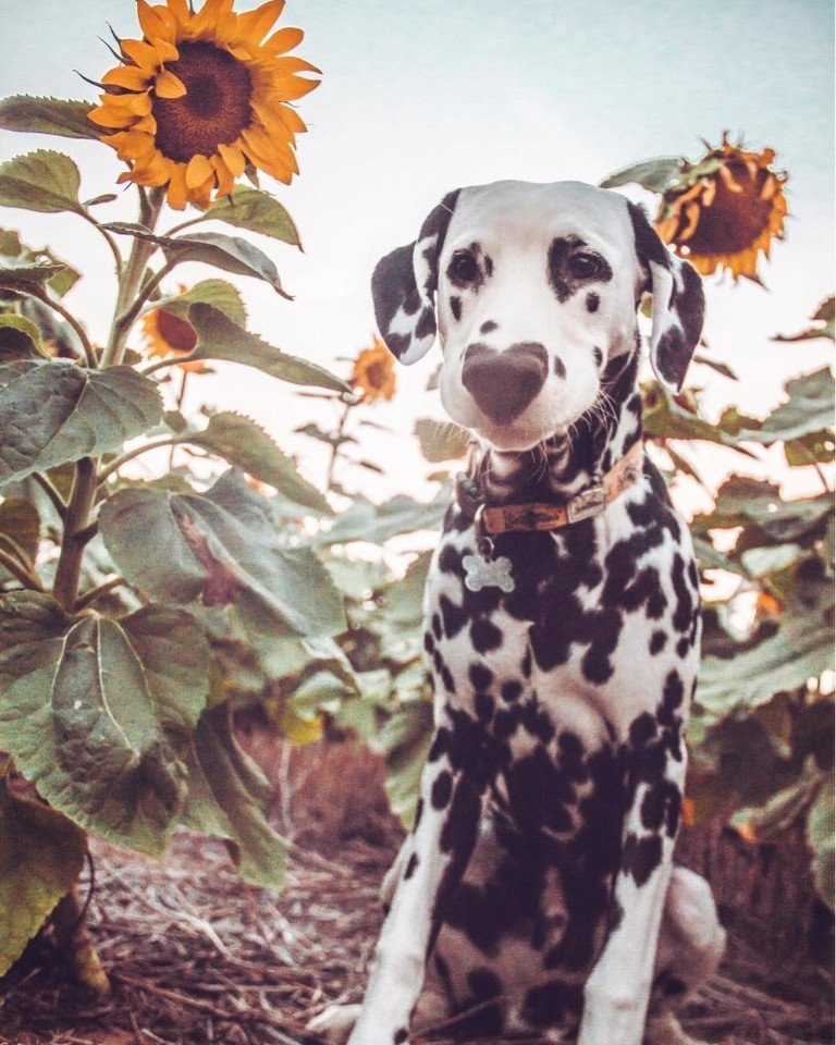 ���� https://fotostrana.ru/away?to=/sl/rhR2 hi.wiley - 5