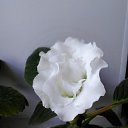 ���� �������, ������� - ��������� 1 ������� 2018 � ������ �������� �������.�