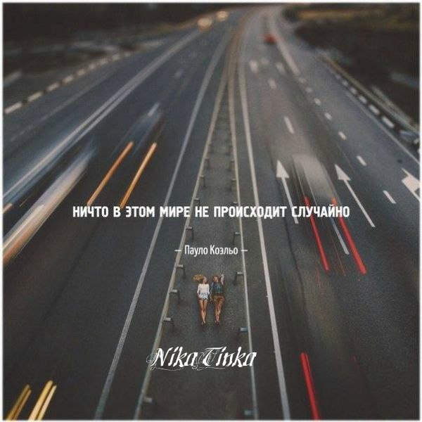 NikaTinka - 14  2018  21:53