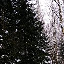  ,  -  10  2019    