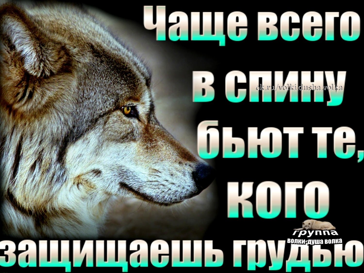  - 21  2019  03:28