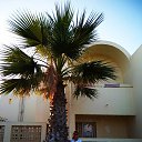 ���� �����, ��������, 63 ���� - ��������� 15 ������� 2018 � ������ ������ 2018�