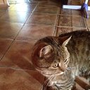 ���� ������, ����������� - ��������� 4 ������� 2019 � ������ ���� ����������