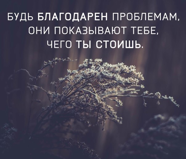     - 1  2019  16:42