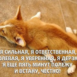 ���� ����������, �����-���������, 45 ��� - ��������� 30 ������� 2018