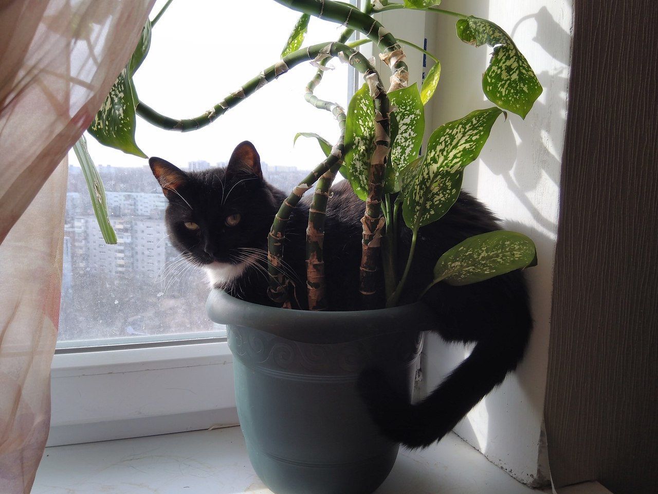 #�������_�����.� 2013 �������� ������, ������ �������,� ������� ������,�������� ��������� �� ����� ... - 4