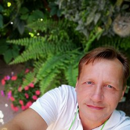 ���������, ����, 54 ����