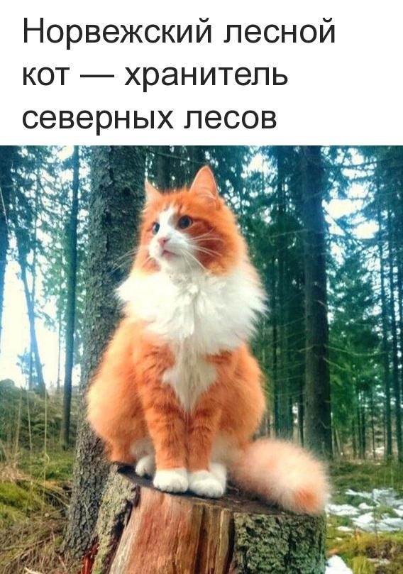   - 15  2019  16:52