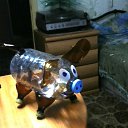 ���� Aleks, �����, 54 ���� - ��������� 25 ������ 2019 � ������ ������ ��������