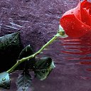 ���� Anil, ����, 43 ���� - ��������� 26 ������� 2018 � ������ ���� ����������