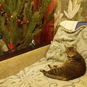 ���� �������, ���������� ����� - ��������� 18 ������� 2019 � ������ ������� �������