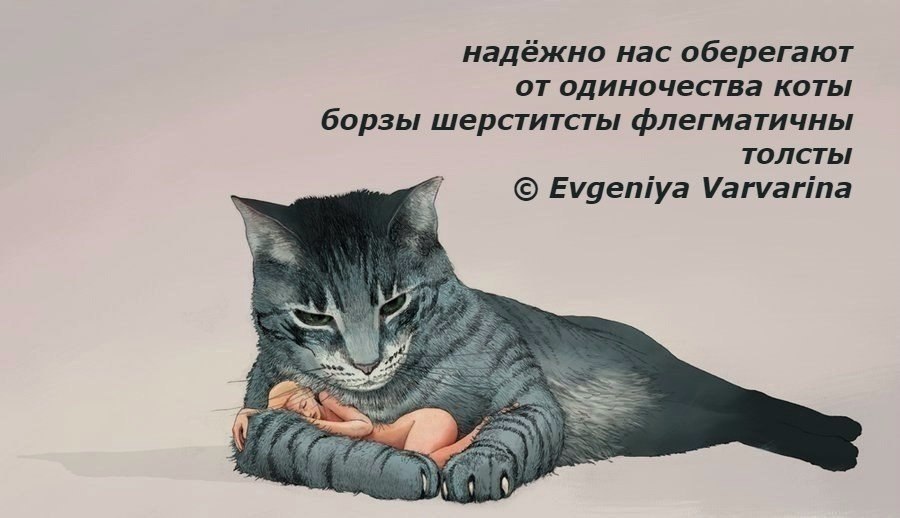 Волшебный Кот. Женщины в ссоре могут говорить любые вещи. Они могут делать больно, вести себя ...