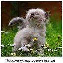 ���� �������, ������, 58 ��� - ��������� 29 ������� 2018 � ������ ���� ����������