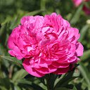  ,  -  6  2018      ...