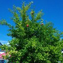���� ������, ������, 43 ���� - ��������� 4 �������� 2018 � ������ ���� ����������