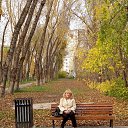 ���� �����, ������������, 66 ��� - ��������� 22 ������ 2018 � ������ ���� ����������