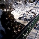 ���� ��������� (����)))))), ����� - ��������� 4 ����� 2019 � ������ ���� ����������