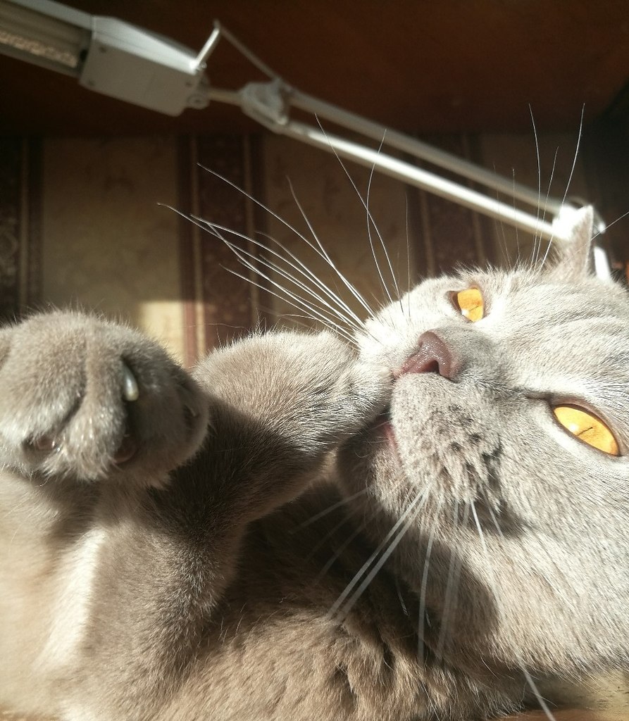 -!