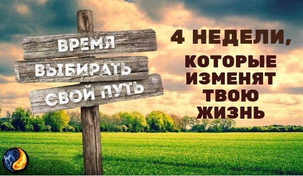 !        -    - 12 !  ...