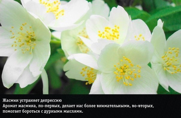  ,    https://fotostrana.ru/away?to=/sl/jfq2