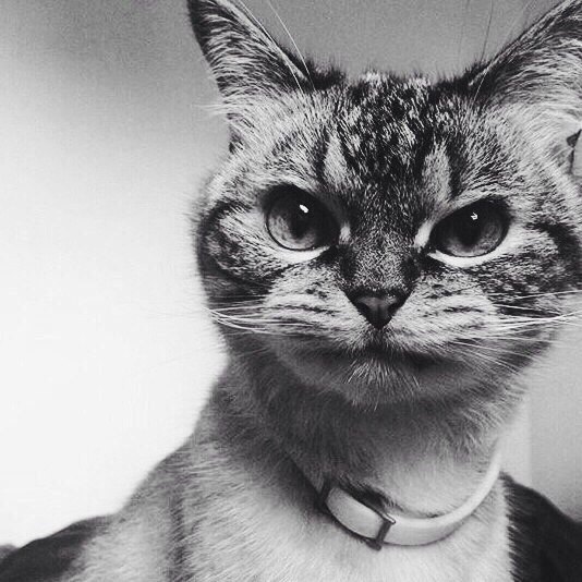 �������� ���������� � ���� - ��� �� ������...��� �������������!))