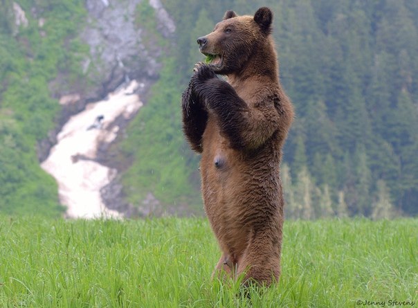 ~**~ - 22  2019  11:50