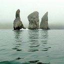 ���� �����, ��������� - ��������� 25 ����� 2019 � ������ ���� ����������