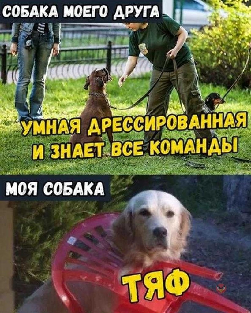   - 22  2018  16:59