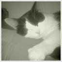 ���� �����, �������, 65 ��� - ��������� 30 ������� 2018 � ������ ���� ����������