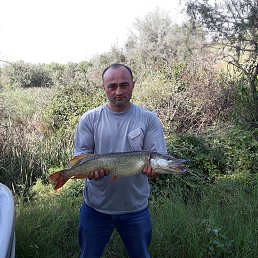 Levan, �������, 48 ���