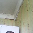  ., -, 51  -  25  2018    