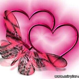 ���� ����, ���, 37 ��� - ��������� 24 ����� 2019