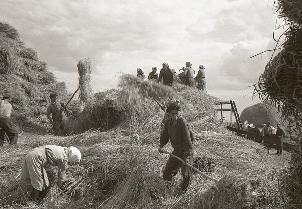 Колхоз «Путь Ленина» (село Васильевка, Ставропольский район, Куйбышевская область) на фотографиях ...