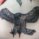 ���� ����, ���������, 42 ���� - ��������� 27 ������� 2018 � ������ ���� ����������