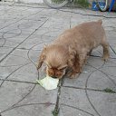 ���� �����, ������ - ��������� 14 ������� 2018 � ������ ���� ����������