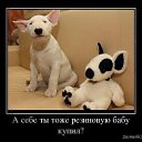  ,  , 49  -  13  2018    