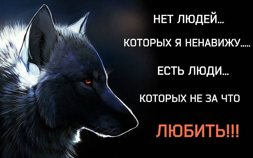 Viktor Www - 9 февраля 2019 в 00:05