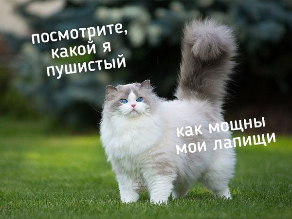 !  !