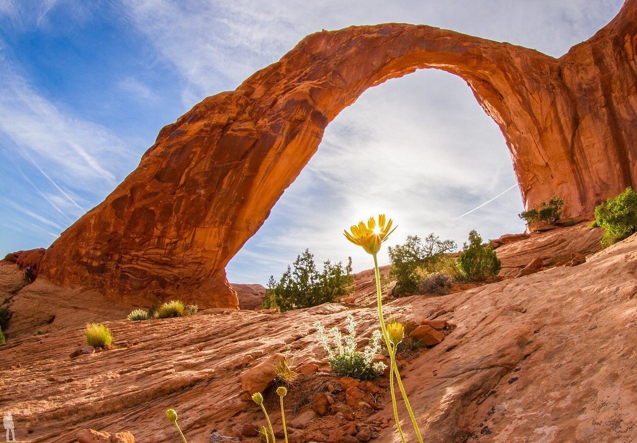    (Arches National Park),       ,  ... - 2