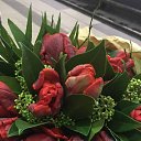 ���� �����, ���� - ��������� 7 ����� 2019 � ������ ���� ����������