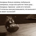 ���� �������, �����-���������, 58 ��� - ��������� 18 ����� 2019 � ������ ���� ����������