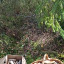 ���� ������ ��������, �����, 52 ���� - ��������� 3 �������� 2018 � ������ ���� ����������