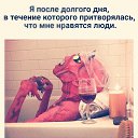 ���� ���������, �������������, 37 ��� - ��������� 2 ������� 2018